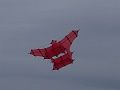 DSC04354