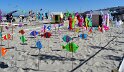 DSC05634
