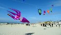 DSC05731