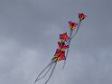 DSC05980