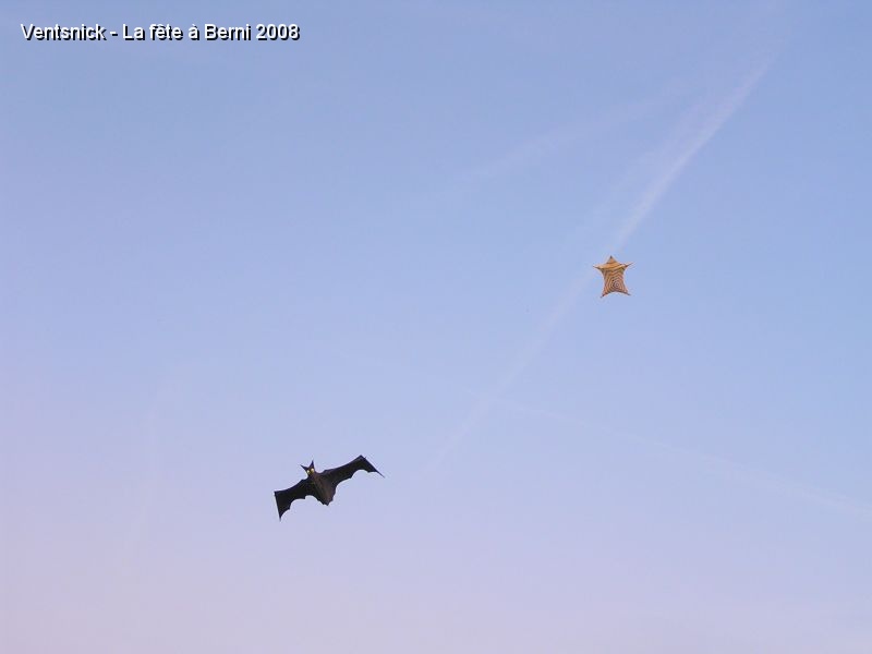 P9281846.jpg - Chauve-souris et jimmy parasol (Photo G. & N. Vansnickt)