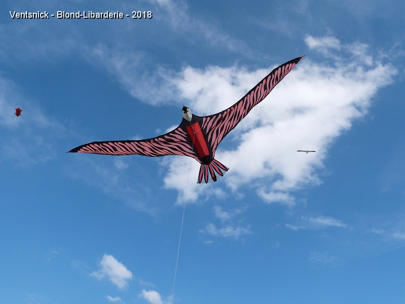 P1310002.jpg - Nous avons appris la disparition volontaire de Lulu qui a rejoint son époux Jean Gadomski . Nos pensées se sont envolées vers ces deux amis au travers le long vol d'un oiseau construit par Jean.