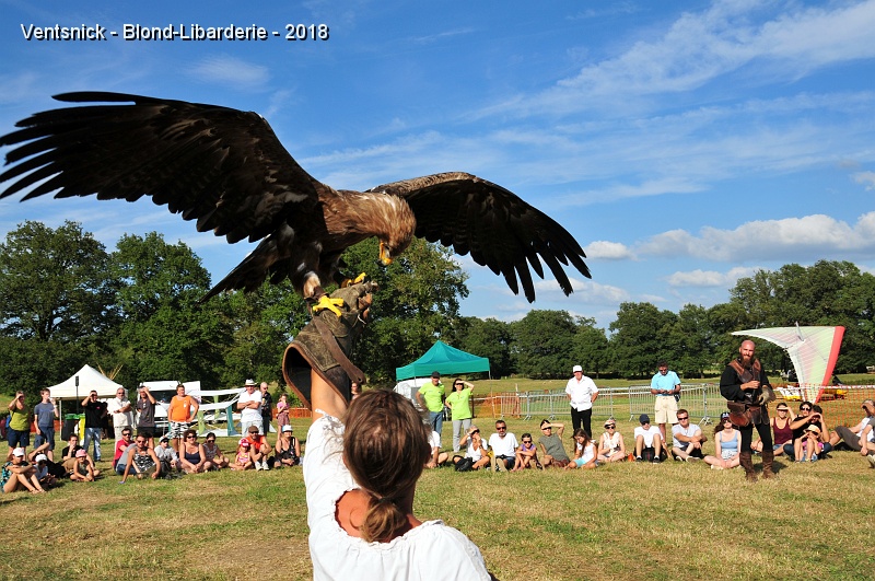 JPS_9725.jpg - ... des rapaces. (Photo de Jean-Pierre Schaefer)