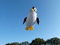 Cerf-Volant