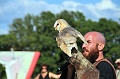 Rapaces