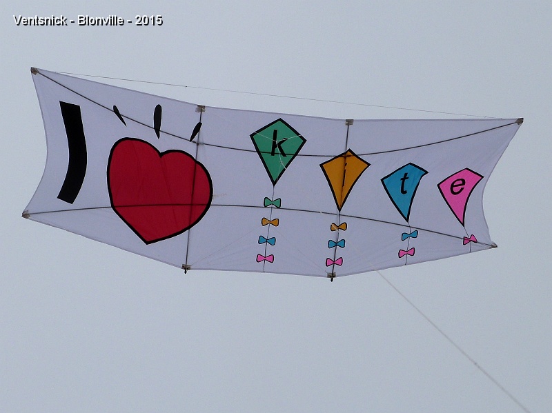 P1130126.jpg - Nouveau "Poster kite" de Yannick.