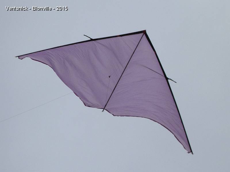 P1130192.jpg - ... Delta mauve ...