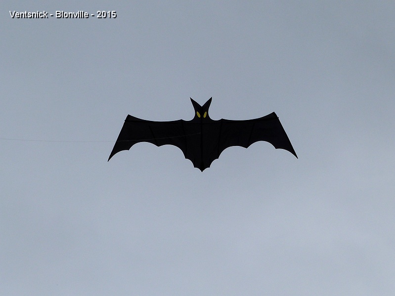 P1130228.jpg - ... la Chauve-souris de Jean-Claude étend ses ailes ...