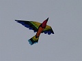 P1130124