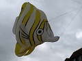 P1130359