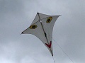 P1130361