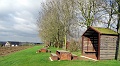 DSC01246
