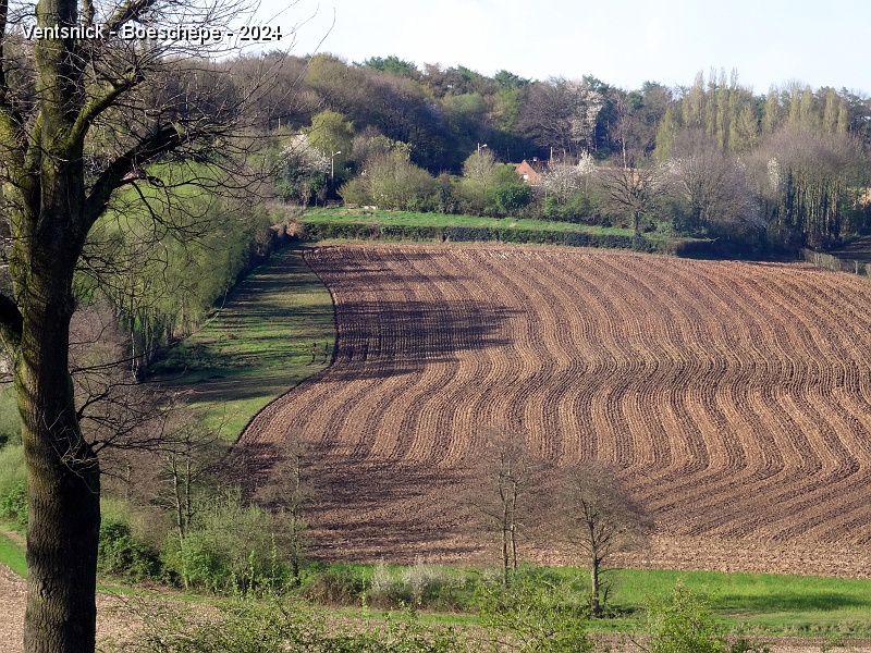 DSC03688.JPG - L'environnement rural est charmant ...