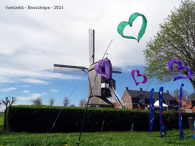 DSC03749.JPG - Boeschèpe : on aime !
