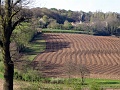 DSC03688