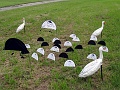 DSC00928