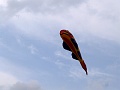 P1350111