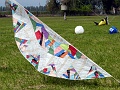 P1350175