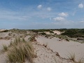 P1130756