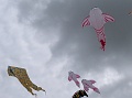 P1140070