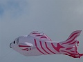 P1190286