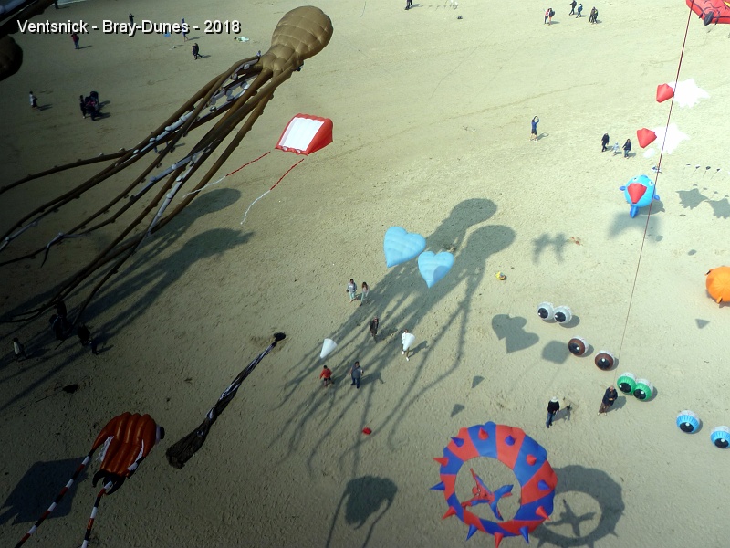 P1270256.JPG - ...