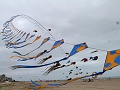 P1290155