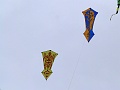 P1290209