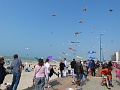P1290312