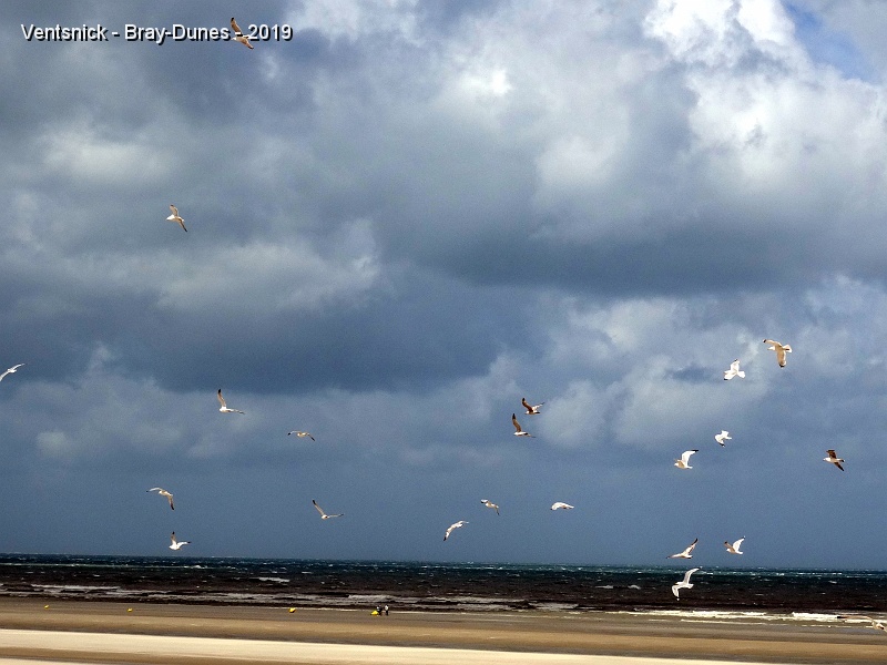 DSC02012.JPG - Nous arrivons à Bray-Dunes sous un ciel peu engageant, ...