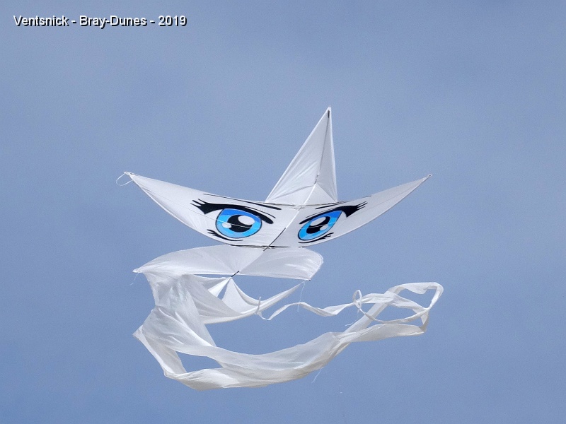 DSC02098.JPG - Leur Shula, "Lady blues eyes",  ...