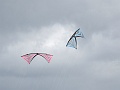 DSC02011