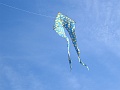 DSC02055