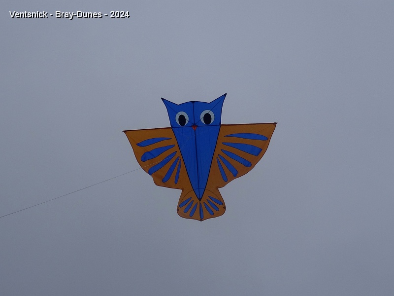 DSC04500.JPG - ... il lance notre Hibou, ...