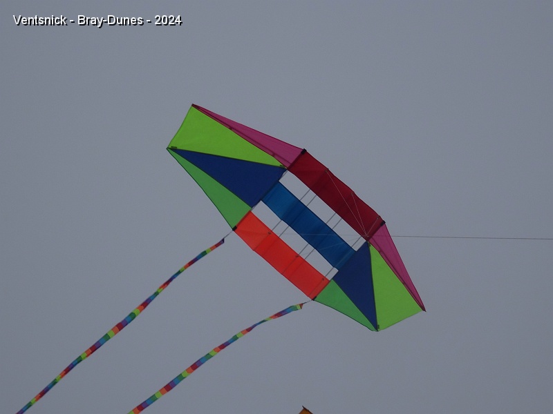 DSC04504.JPG - ... le cerf-volant est équipé de 2 longues queues..