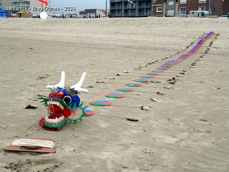 DSC04521.JPG - Ici leur Dragon attend des conditions favorables pour son envol !