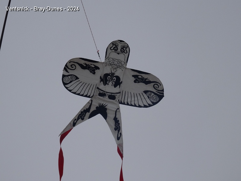 DSC04562.JPG - Ils ont des cerfs-volants qui volent en bout de cannes. Une hirondelle, ...