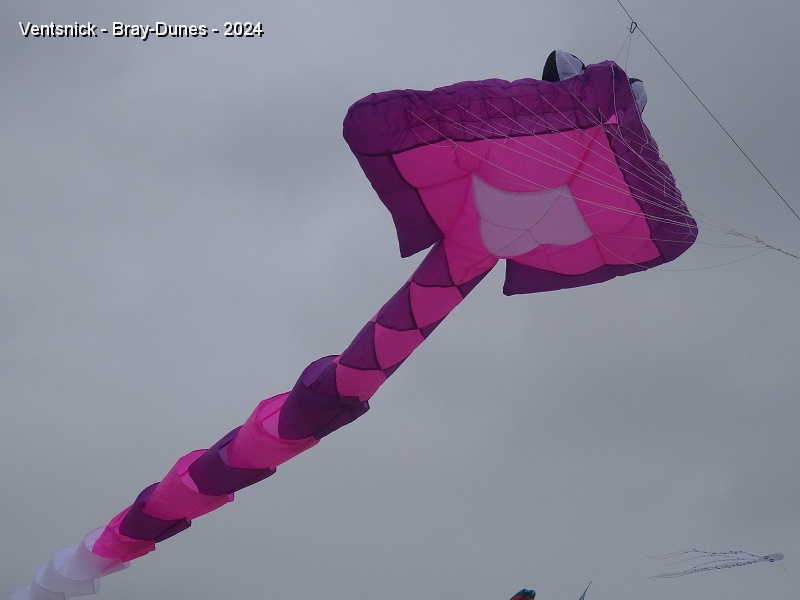 DSC04615.JPG - Il accrochera aussi sa petite raie rose à sa ligne, ...
