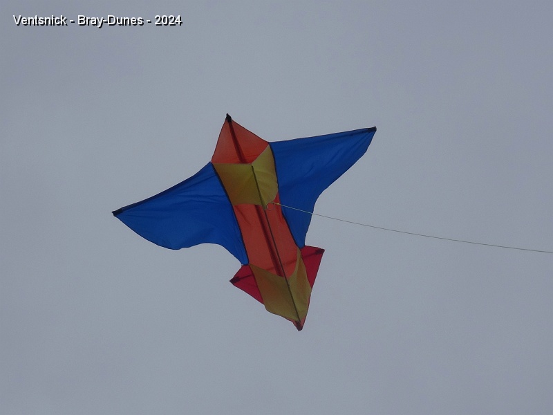 DSC04617.JPG - Brigitte est au bas de la ligne de son oiseau à caissons.