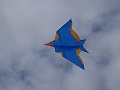 DSC04481