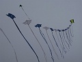 DSC04509