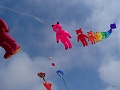 DSC04579
