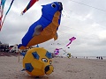 DSC04616