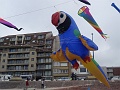 DSC04632