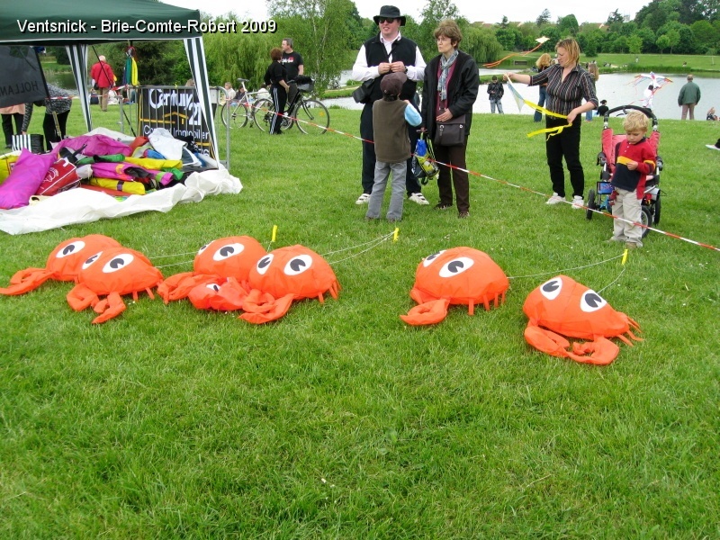 Raw00144.JPG - Les crabes sont de sortie ... la mer n'est pourtant pas tout près !