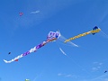 P1230605