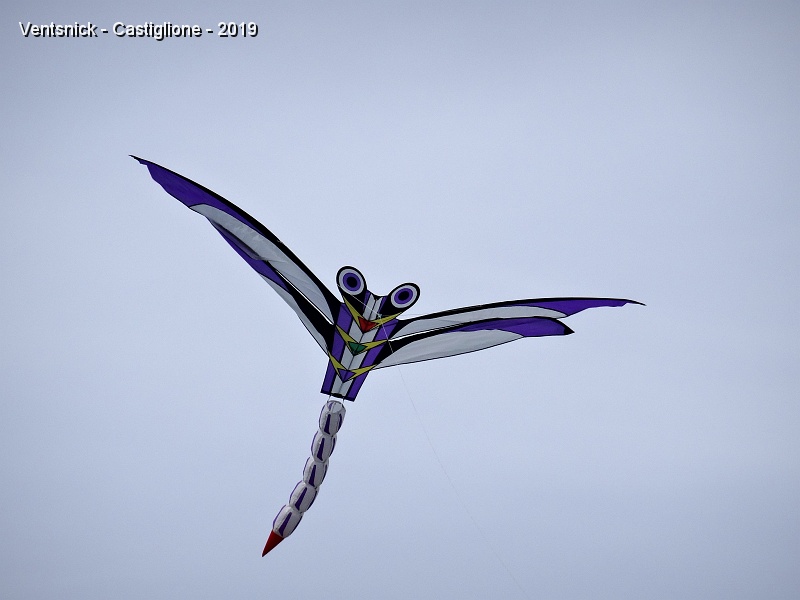 DSC01235.JPG - Libellules de ...