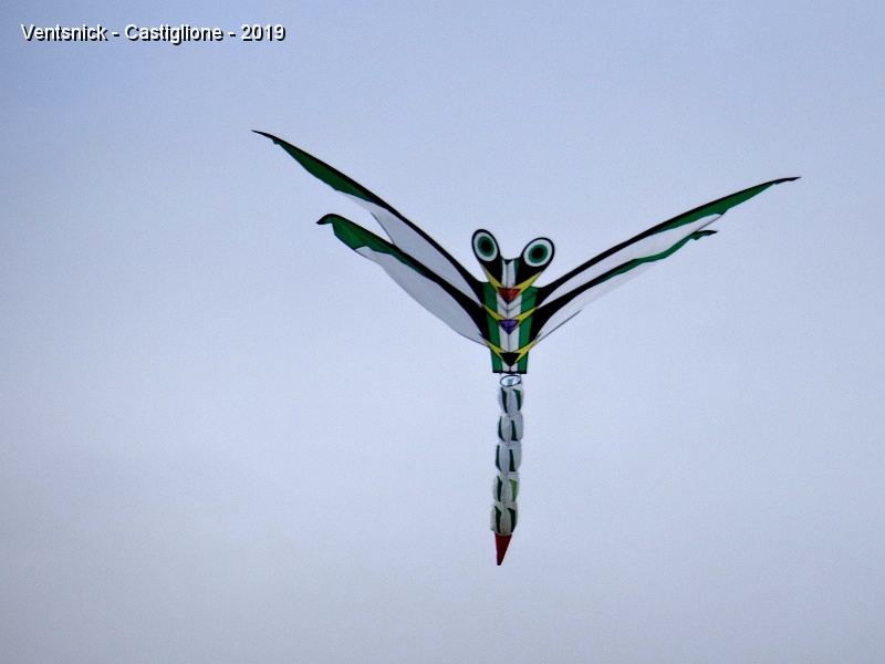 DSC01236.JPG - ... Toni  Inderbitzin et de Rainer Neuner, des cerfs-volants au design raffiné de Wolfgang Karrer.