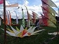 DSC01198