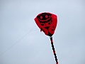 DSC01199